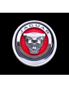 Мултимедии Jaguar – Android 15, CarPlay, DSP и GPS навигации | NaviPlay